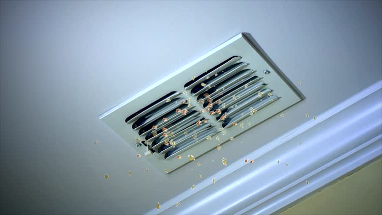 Best Air Duct Cleaning Near Me  in Newton, NC