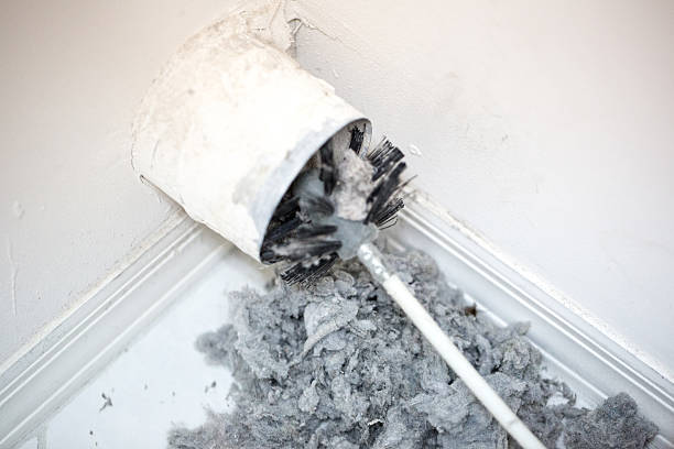 Best Local Air Duct Cleaning Services  in Newton, NC